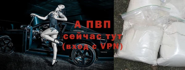 винт Алексин