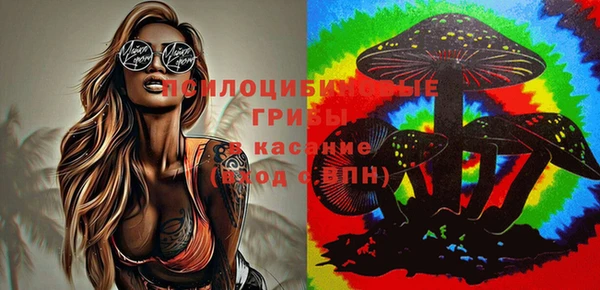 винт Алексеевка