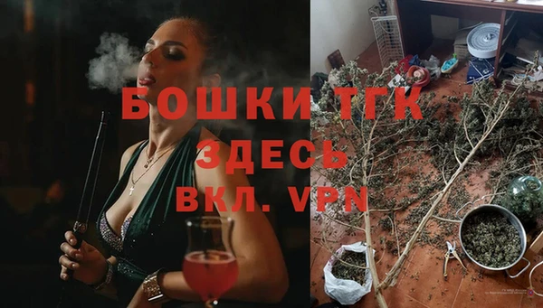 винт Алексин