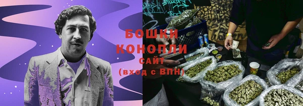 Альфа ПВП Няндома