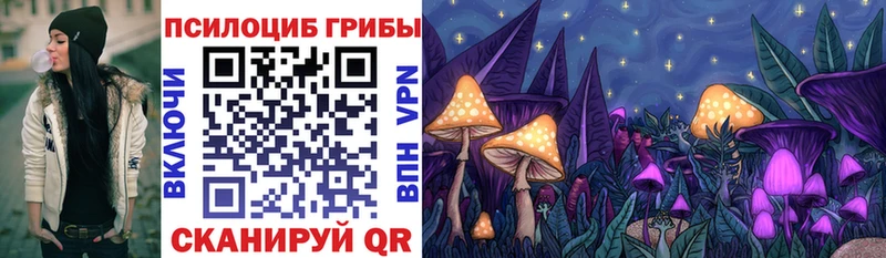 Псилоцибиновые грибы мицелий даркнет сайт omg ссылка Алзамай